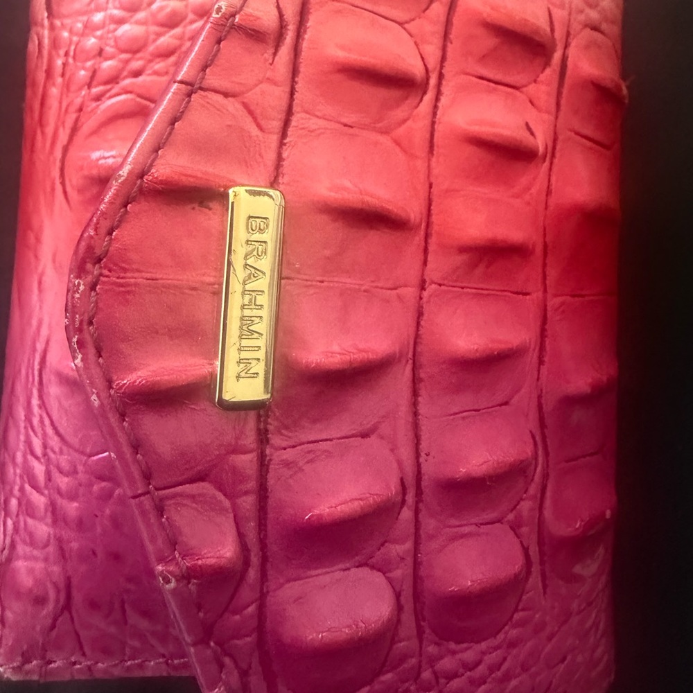 Brahmin Cupid Ombré Melbourne - Picture 8 of 16